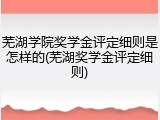 芜湖学院奖学金评定细则是怎样的(芜湖奖学金评定细则)