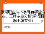 漯河职业技术学院有哪些专业，王牌专业分析(漯河职院王牌专业)
