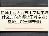 盐城工业职业技术学院主攻什么方向有哪些王牌专业(盐城工院王牌专业)
