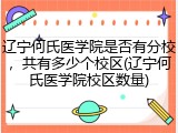 辽宁何氏医学院是否有分校，共有多少个校区(辽宁何氏医学院校区数量)