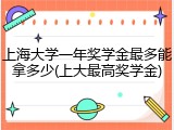 上海大学一年奖学金最多能拿多少(上大最高奖学金)