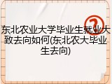 东北农业大学毕业生就业大致去向如何(东北农大毕业生去向)