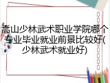 嵩山少林武术职业学院哪个专业毕业就业前景比较好(少林武术就业好)