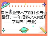 宿迁职业技术学院什么专业最好，一年招多少人(宿迁学院热门专业)