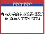 青岛大学的专业设置概况介绍(青岛大学专业概览)