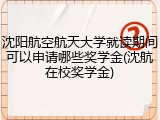 沈阳航空航天大学就读期间可以申请哪些奖学金(沈航在校奖学金)