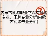 内蒙古能源职业学院有哪些专业，王牌专业分析(内蒙古能源专业分析)