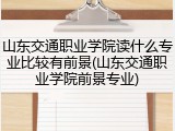 山东交通职业学院读什么专业比较有前景(山东交通职业学院前景专业)