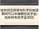 桂林师范高等专科学校就读期间可以申请哪些奖学金(桂林师专奖学金项目)