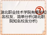 湖北职业技术学院有哪些知名校友，简单分析(湖北职院知名校友分析)