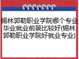 锡林郭勒职业学院哪个专业毕业就业前景比较好(锡林郭勒职业学院好就业专业)