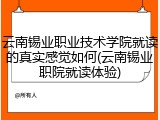 云南锡业职业技术学院就读的真实感觉如何(云南锡业职院就读体验)
