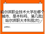 哈尔滨职业技术大学在哪个城市，是本科吗，第几批(哈尔滨职大本科批次)