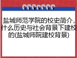 盐城师范学院的校史简介，什么历史与社会背景下建校的(盐城师院建校背景)