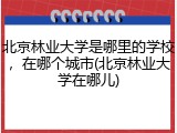 北京林业大学是哪里的学校，在哪个城市(北京林业大学在哪儿)