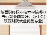 陕西财经职业技术学院哪些专业就业前景好，为什么(陕西财院就业优势专业)