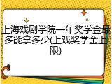 上海戏剧学院一年奖学金最多能拿多少(上戏奖学金上限)