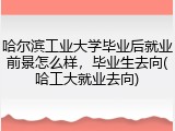 哈尔滨工业大学毕业后就业前景怎么样，毕业生去向(哈工大就业去向)