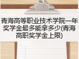青海高等职业技术学院一年奖学金最多能拿多少(青海高职奖学金上限)