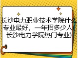 长沙电力职业技术学院什么专业最好，一年招多少人(长沙电力学院热门专业)