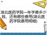 湖北医药学院一年学费多少钱，还有哪些费用(湖北医药学院费用明细)