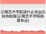 云南艺术学院读什么专业比较有前景(云南艺术学院前景专业)
