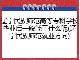 辽宁民族师范高等专科学校毕业后一般能干什么呢(辽宁民族师范就业方向)