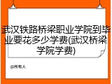 武汉铁路桥梁职业学院到毕业要花多少学费(武汉桥梁学院学费)