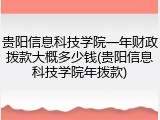 贵阳信息科技学院一年财政拨款大概多少钱(贵阳信息科技学院年拨款)