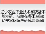 辽宁农业职业技术学院能不能考研，成绩在哪里查询(辽宁农职院考研成绩查询)