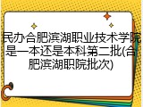 民办合肥滨湖职业技术学院是一本还是本科第二批(合肥滨湖职院批次)