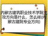 内蒙古建筑职业技术学院主攻方向是什么，怎么样(内蒙古建院专业方向)
