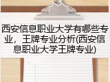 西安信息职业大学有哪些专业，王牌专业分析(西安信息职业大学王牌专业)