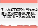 辽宁地质工程职业学院就读的真实感觉如何(辽宁地质工程职业学院就读体验)