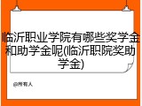 临沂职业学院有哪些奖学金和助学金呢(临沂职院奖助学金)