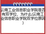 云南工业信息职业学院是否有双学位，为什么(云南工业信息职业学院双学位原因)