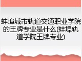 蚌埠城市轨道交通职业学院的王牌专业是什么(蚌埠轨道学院王牌专业)