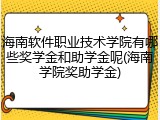 海南软件职业技术学院有哪些奖学金和助学金呢(海南学院奖助学金)