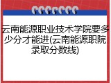云南能源职业技术学院要多少分才能进(云南能源职院录取分数线)