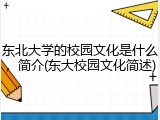 东北大学的校园文化是什么，简介(东大校园文化简述)