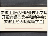 安徽工业经济职业技术学院开设有哪些奖学和助学金(安徽工经职院奖助学金)