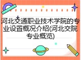 河北交通职业技术学院的专业设置概况介绍(河北交院专业概览)