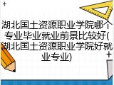 湖北国土资源职业学院哪个专业毕业就业前景比较好(湖北国土资源职业学院好就业专业)