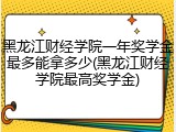黑龙江财经学院一年奖学金最多能拿多少(黑龙江财经学院最高奖学金)