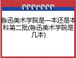 鲁迅美术学院是一本还是本科第二批(鲁迅美术学院是几本)
