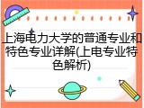上海电力大学的普通专业和特色专业详解(上电专业特色解析)