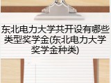 东北电力大学共开设有哪些类型奖学金(东北电力大学奖学金种类)