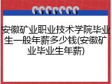 安徽矿业职业技术学院毕业生一般年薪多少钱(安徽矿业毕业生年薪)