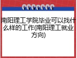 南阳理工学院毕业可以找什么样的工作(南阳理工就业方向)