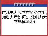 东北电力大学有多少学生，师资力量如何(东北电力大学规模师资)